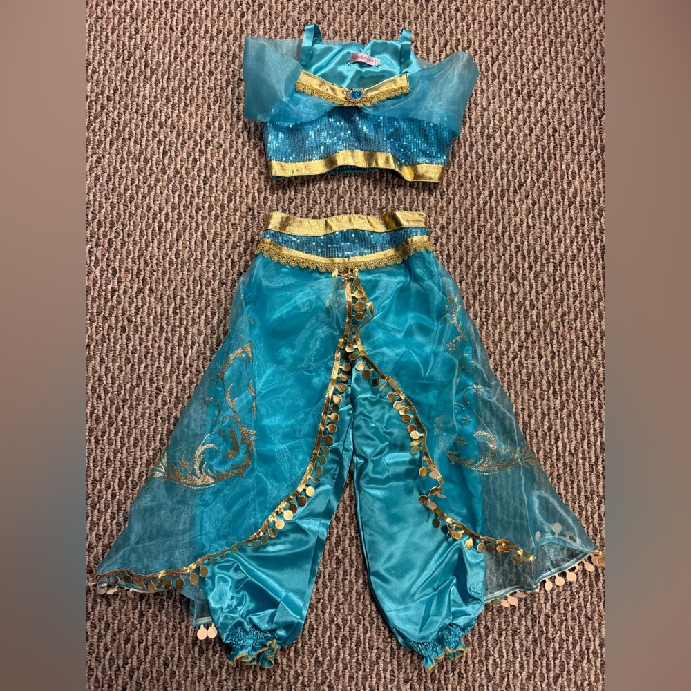 Jasmine costumes (wig included)